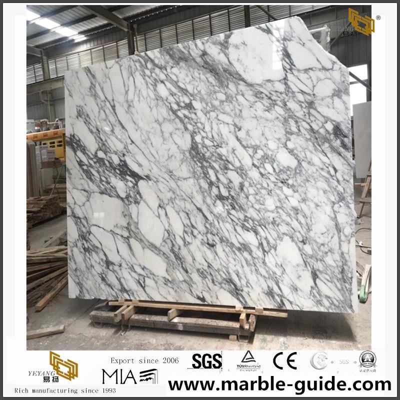 Arabescato White Marblr Big Slab 2