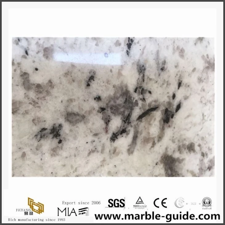 Inexpensive White Countertops, Galaxy White Granite Kitchen Counter