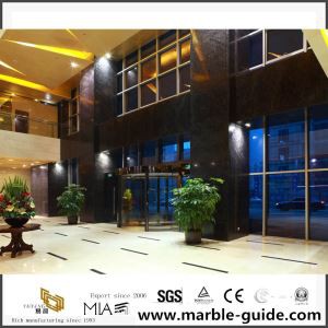 Multifamily pwojè View nan pò Shangfang a ak nwa Illusion Quartz